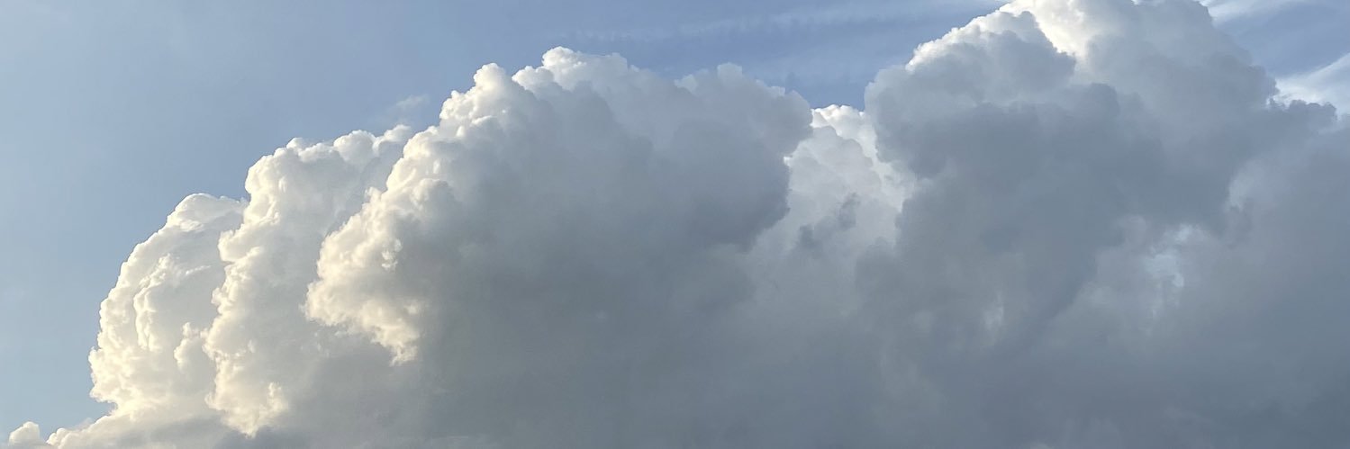 ananna0523's profile banner image