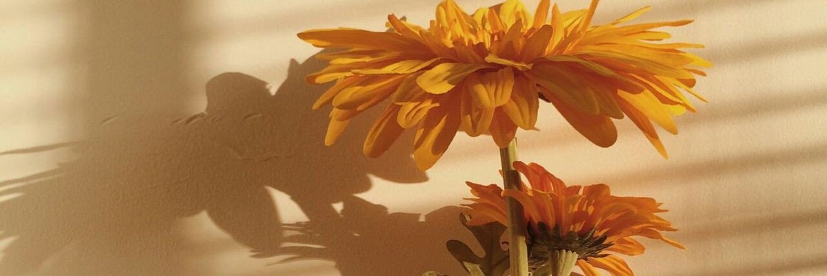b_gaby12's profile banner image