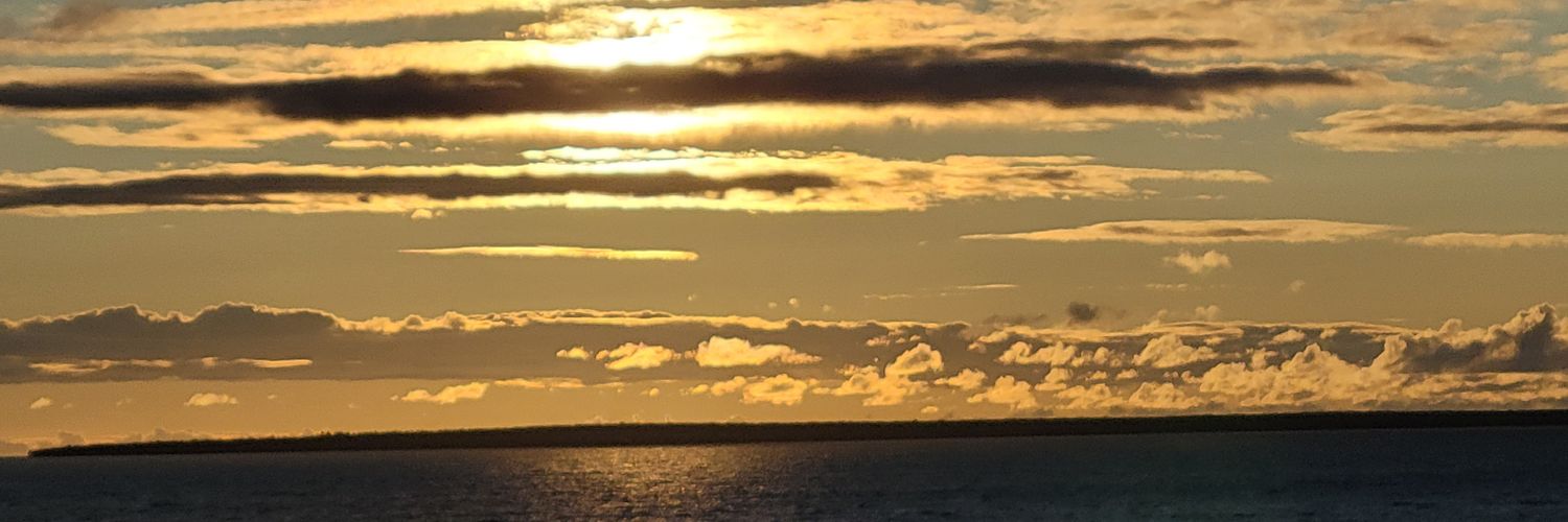 SusanWooster's profile banner image