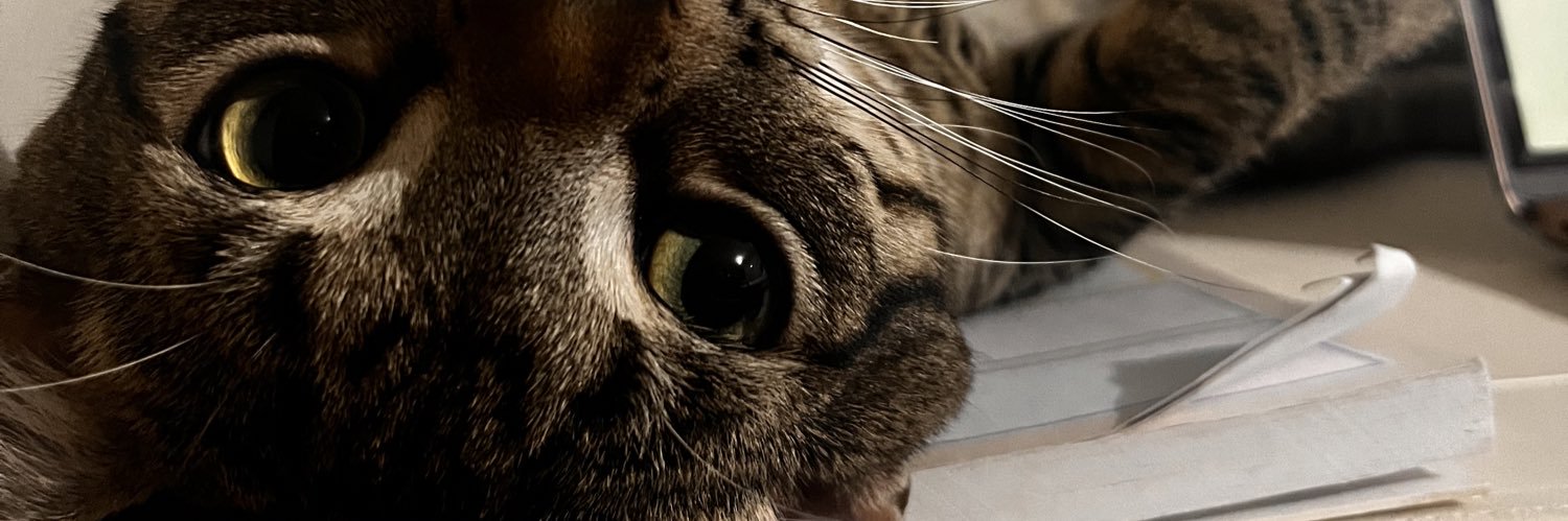 _Ericaaaaaaa_'s profile banner image