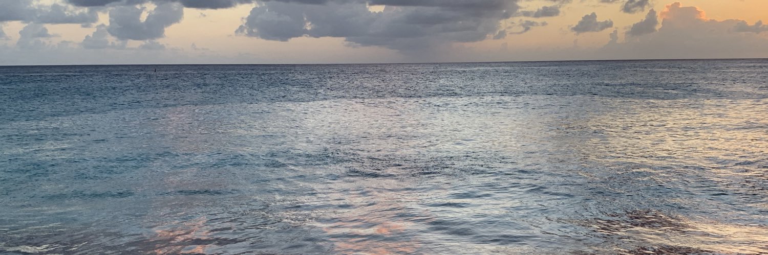 laurenfunari's profile banner image