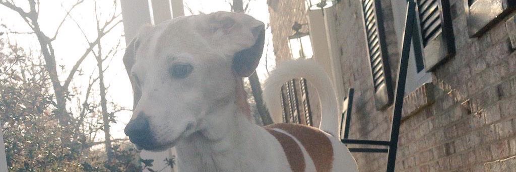 BagelB1's profile banner image