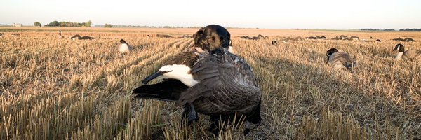 NoDakDemeter Profile Banner