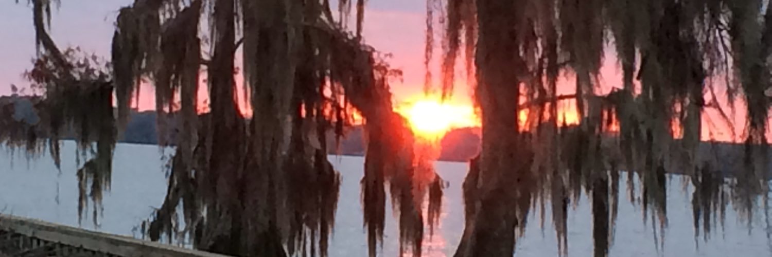 Chief_MNM's profile banner image