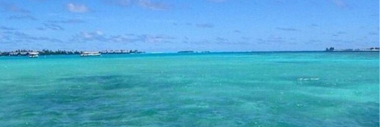 Chabelaortega's profile banner image