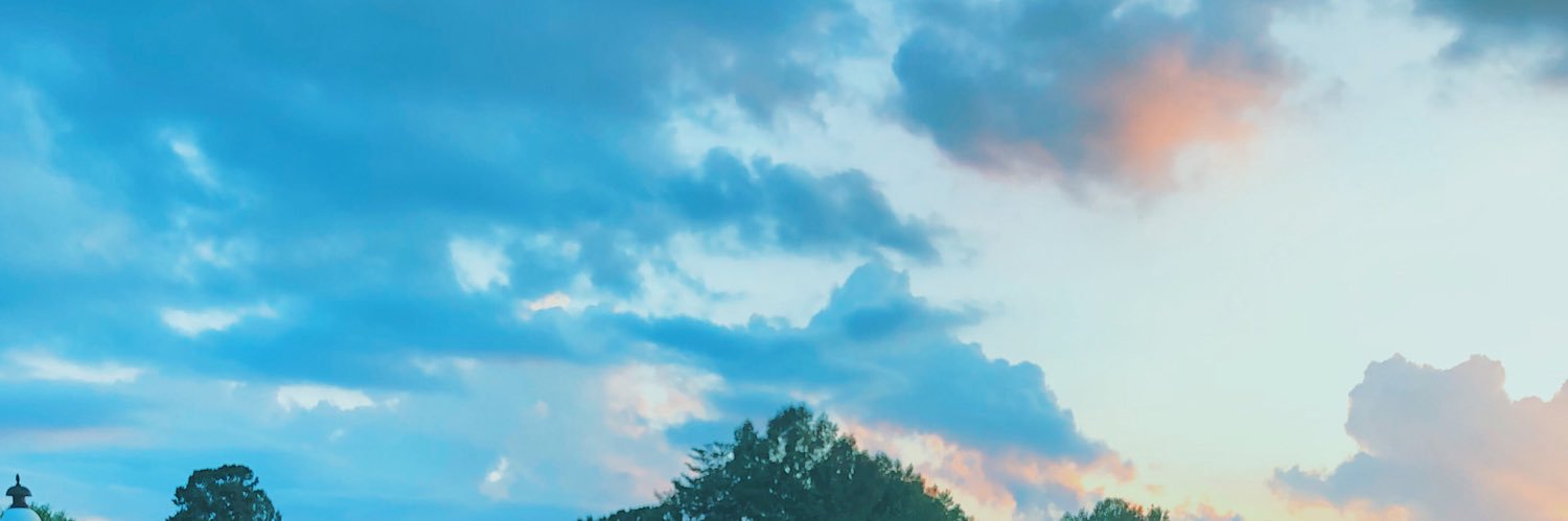 _graciedavis1's profile banner image