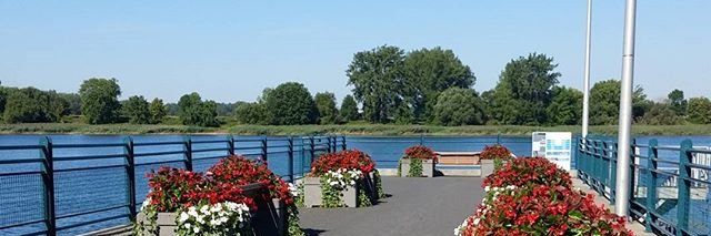 Lamoureux banner