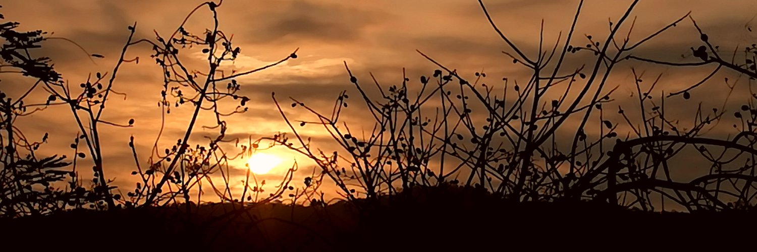 mariofaustos's profile banner image