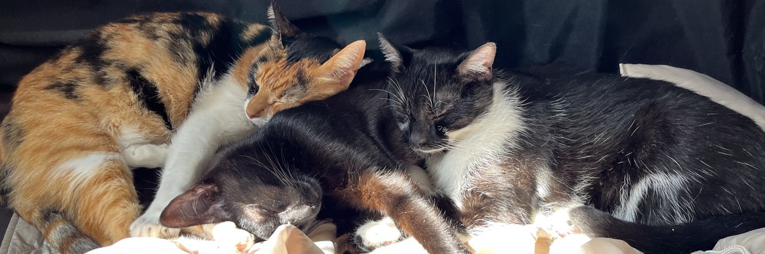 Andy Cloudy 💙 banner