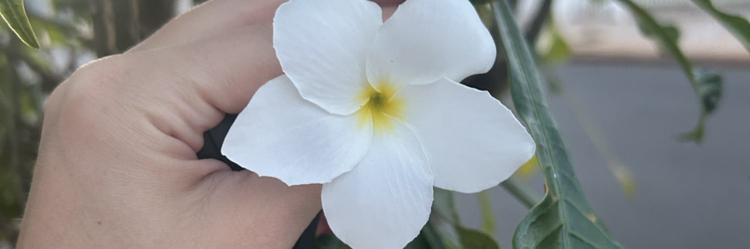 amandapaccini's profile banner image