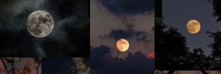 32Caru's profile banner image