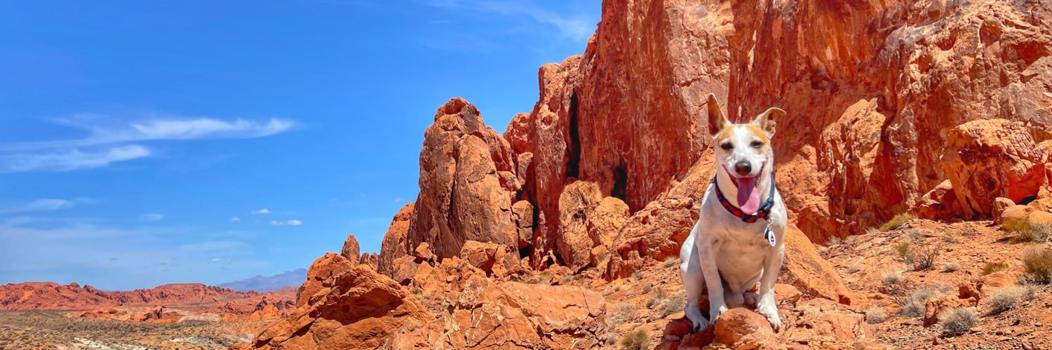 DylanAce's profile banner image