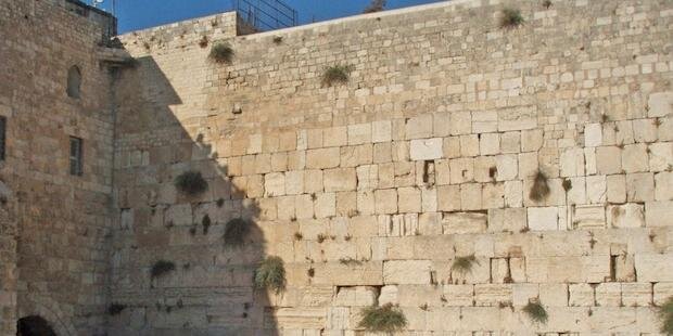 Orthodox Union banner