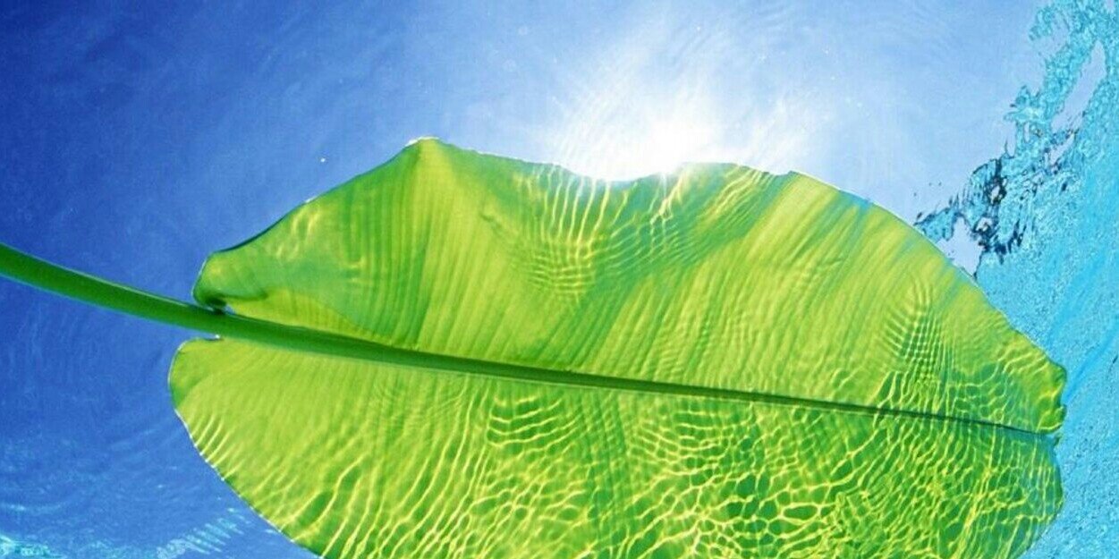 mitardiana's profile banner image