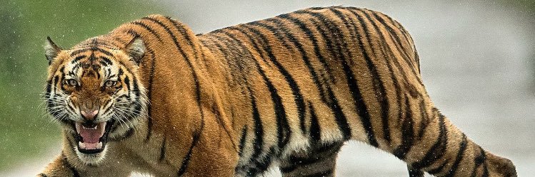ganeshaup's profile banner image