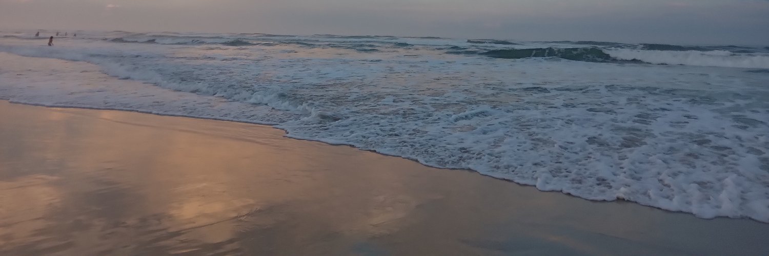MizFloor's profile banner image