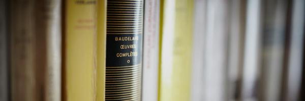 baudelaireproj Profile Banner