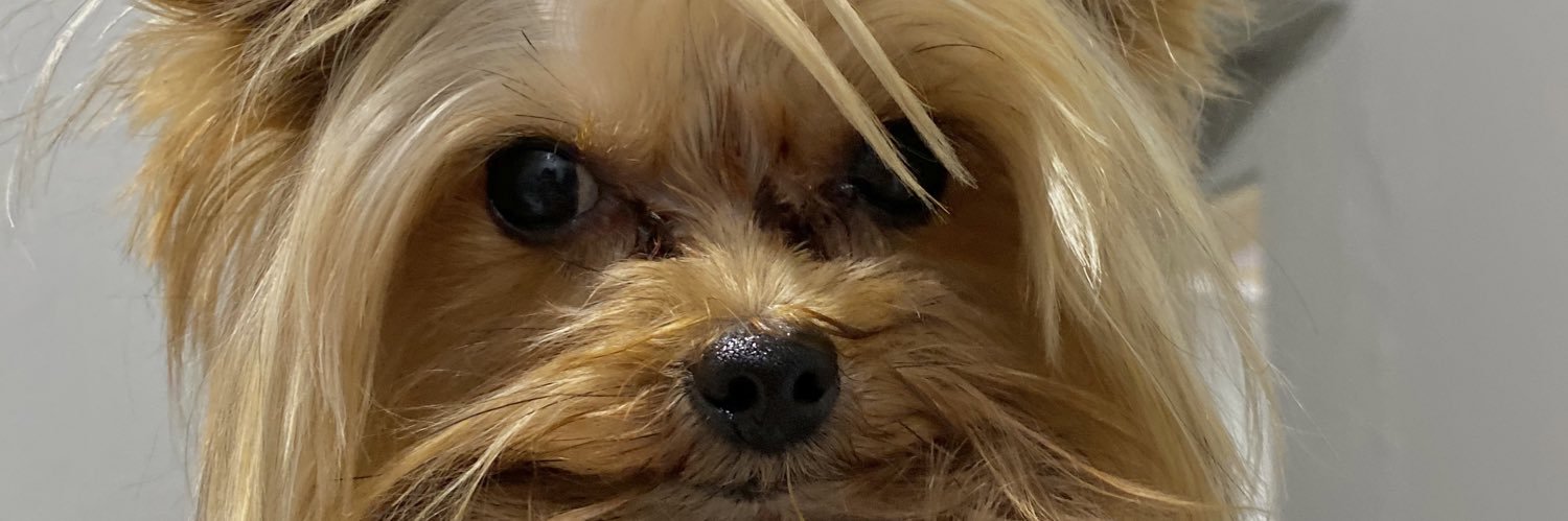 trrezena's profile banner image