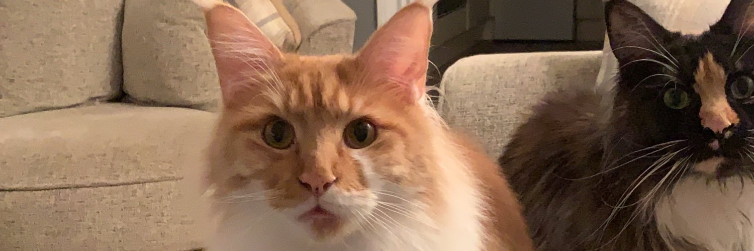 candice201990's profile banner image