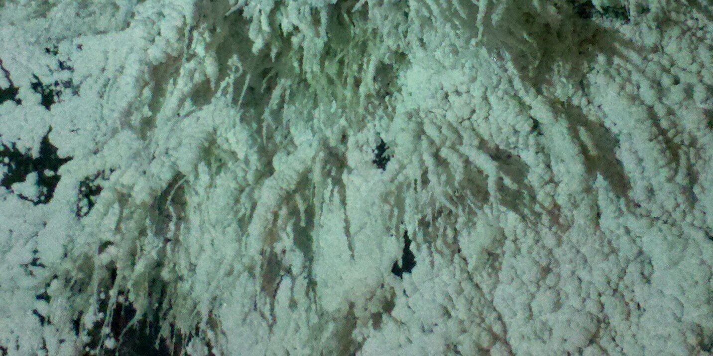 ronald camilo gomez banner