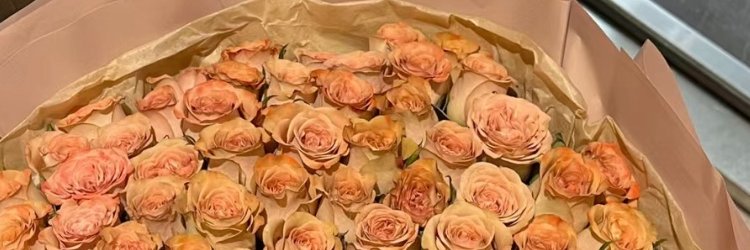 Amy12175170's profile banner image