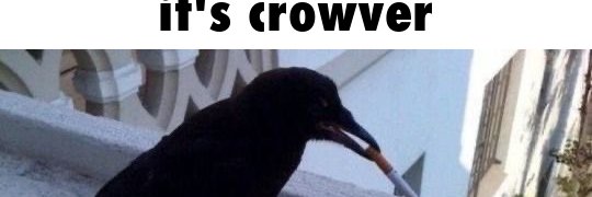 Phoenix's Wrath  banner