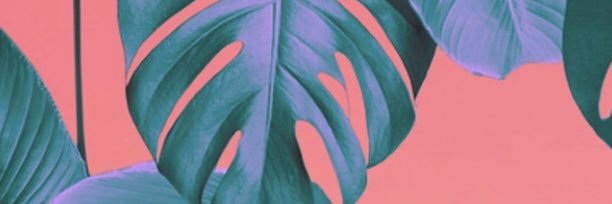 AshleyHayt's profile banner image