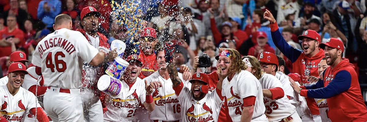 redbirds 🚀 banner