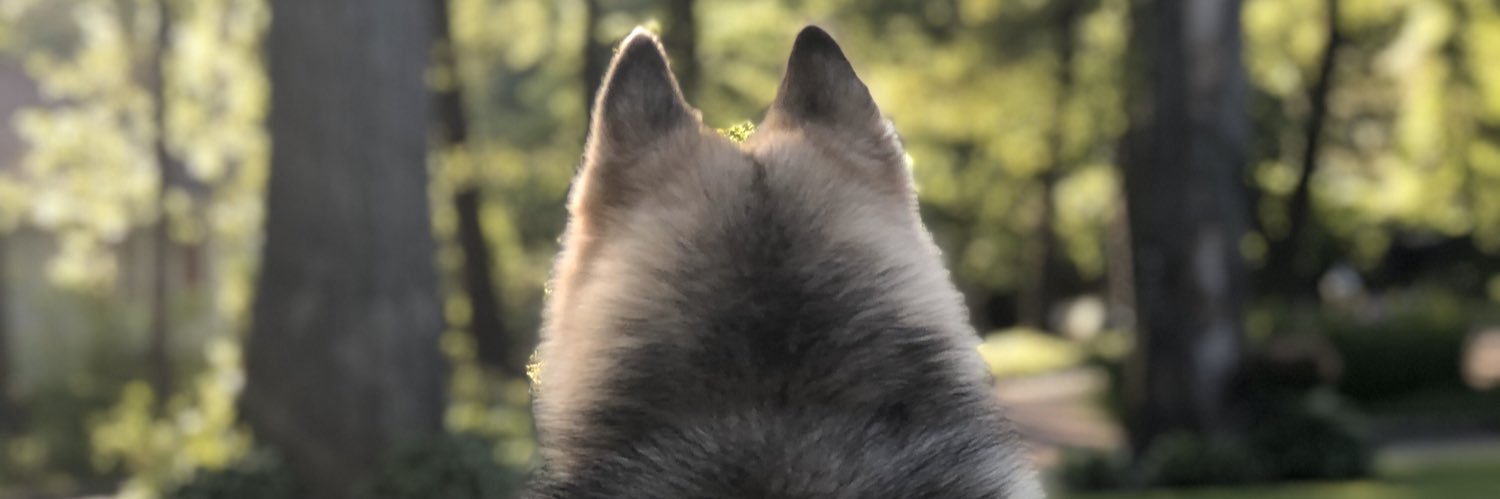 Two3_od's profile banner image
