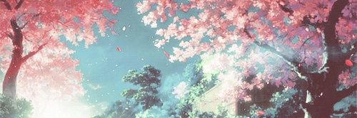 ️️ ️️ ️️ ️️ ️️ ️️ 𝓗️️𝒚𝒂𝐜𝐢𝐧𝐞. banner