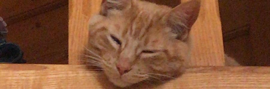 SimonPrdo's profile banner image