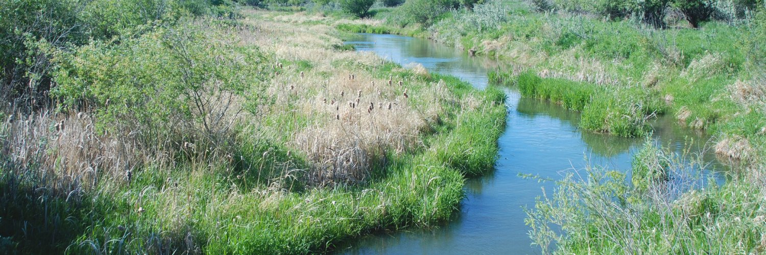 Cows and Fish | Riparian Management Society banner