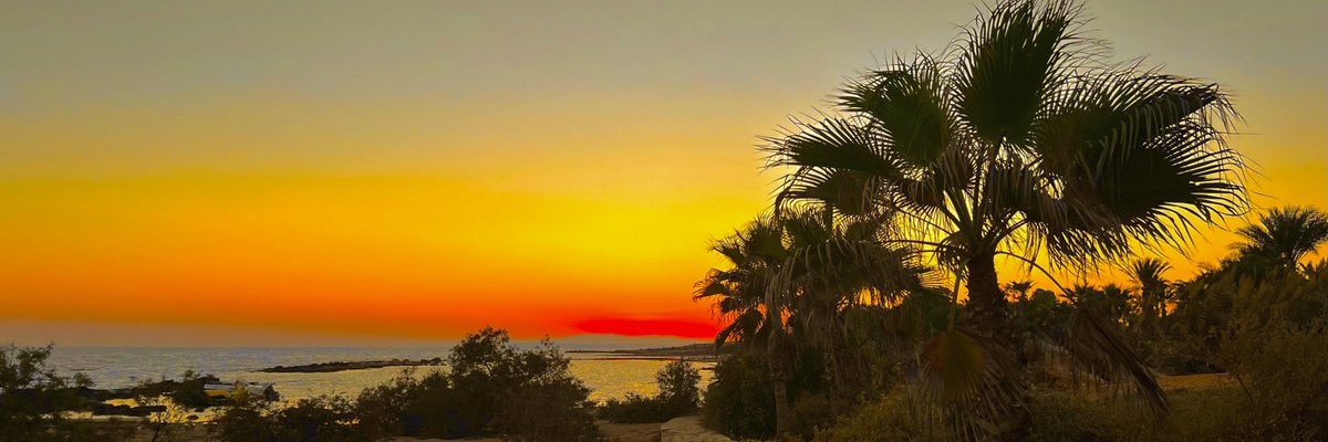 AnaCrypto0's profile banner image