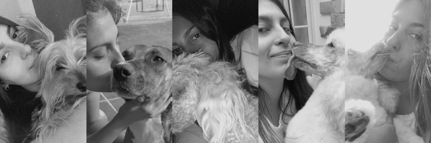 pazdoloress's profile banner image