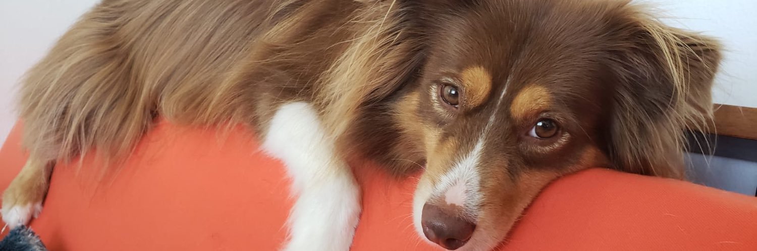 HelloHeidyy's profile banner image