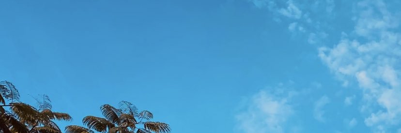 Findelson84's profile banner image