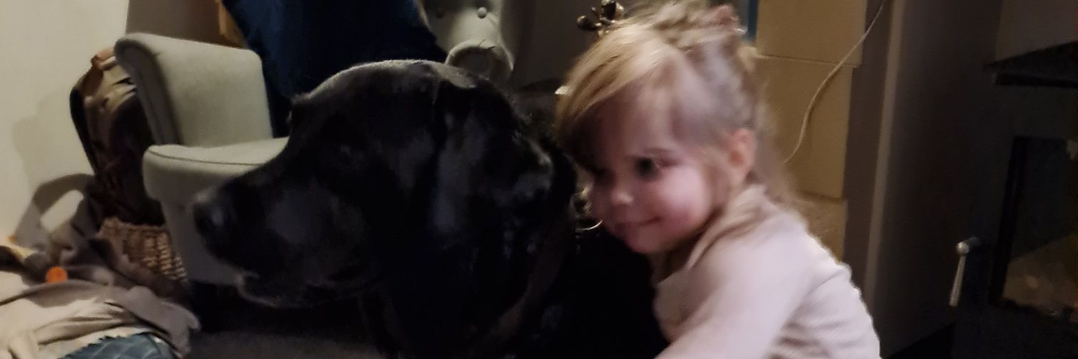 Professor Graham Williams banner