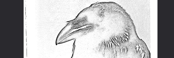 nwraae Profile Banner