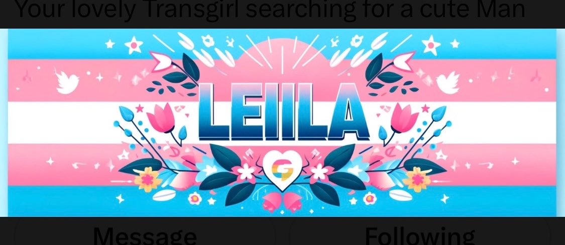 ts_prettylaura's profile banner image
