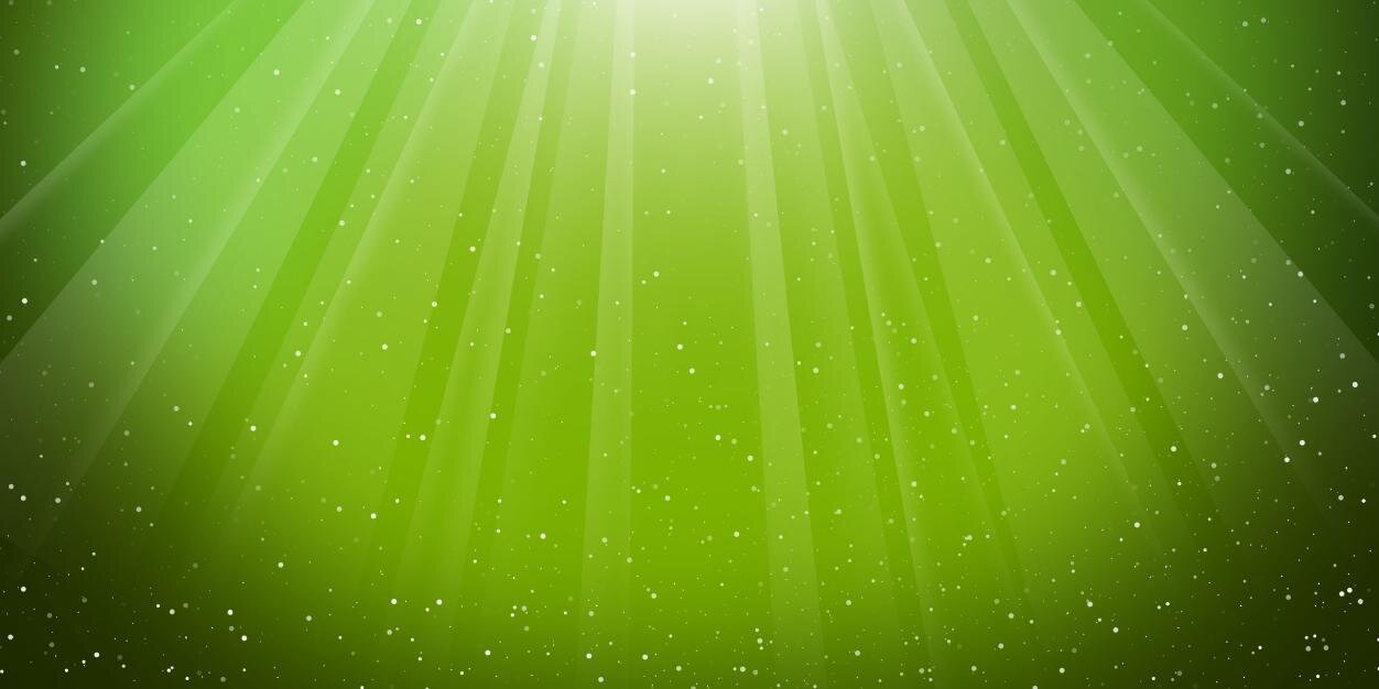 neepabithi's profile banner image