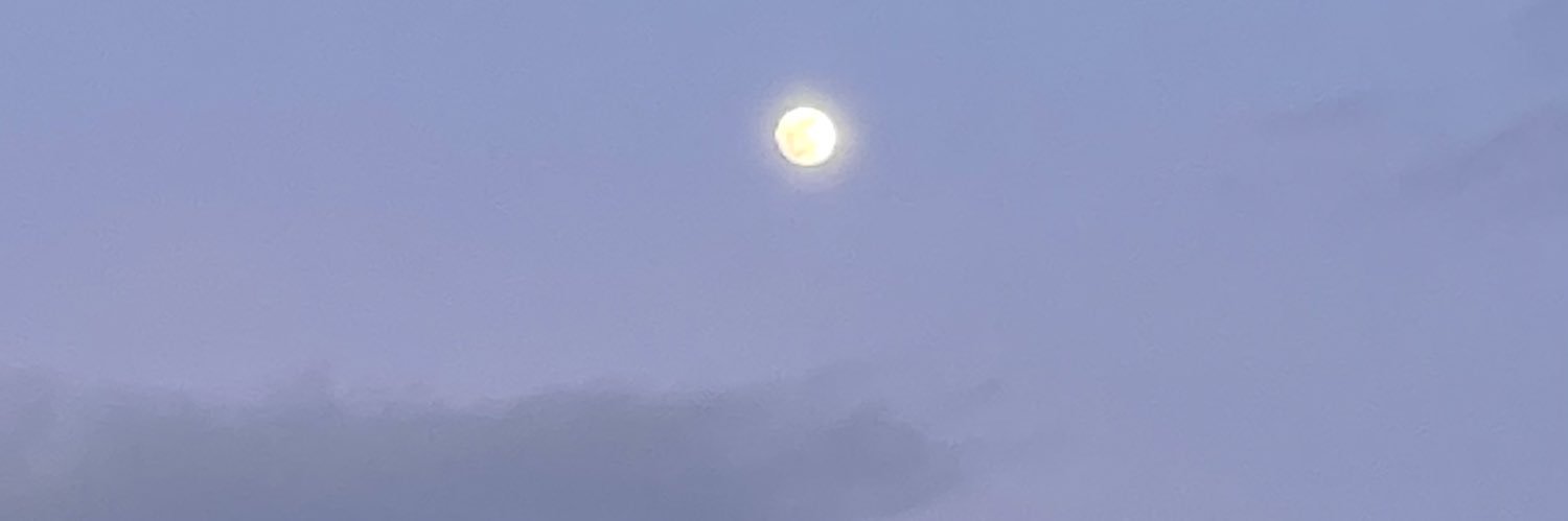 pat__naz's profile banner image
