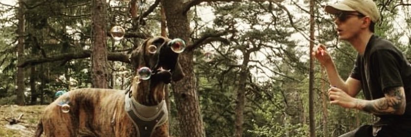 AdamSegerfeldt's profile banner image