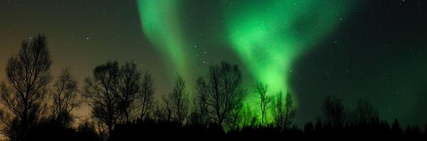 Torsteinram Profile Banner