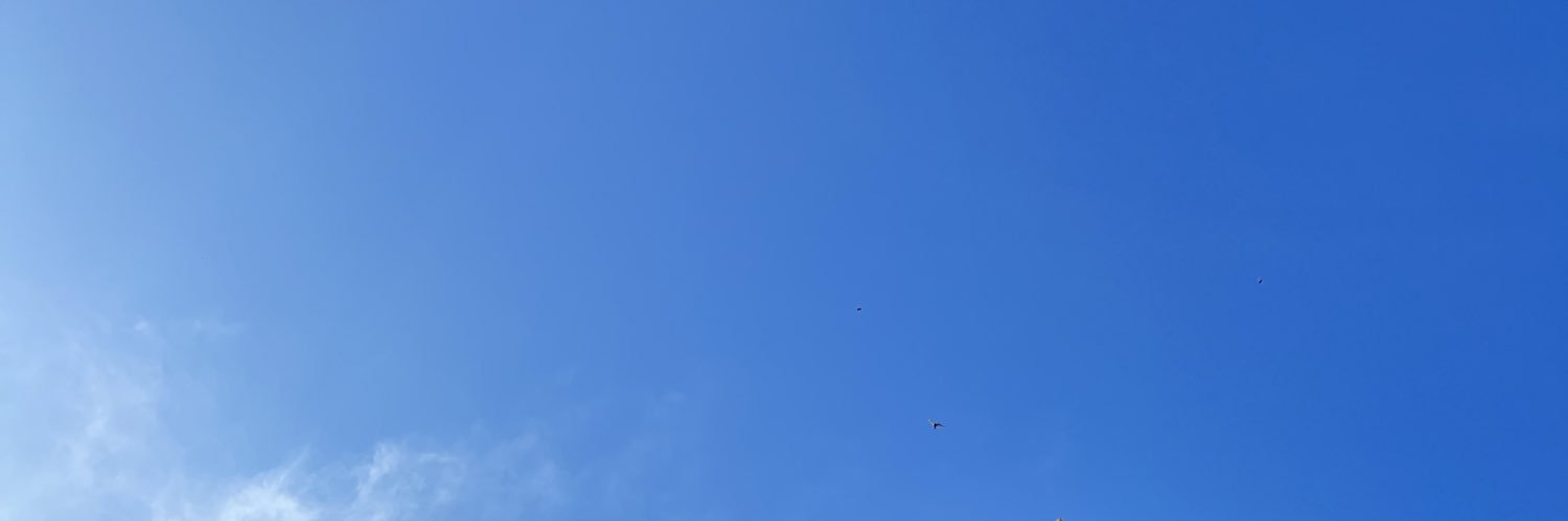 RubenYacob's profile banner image