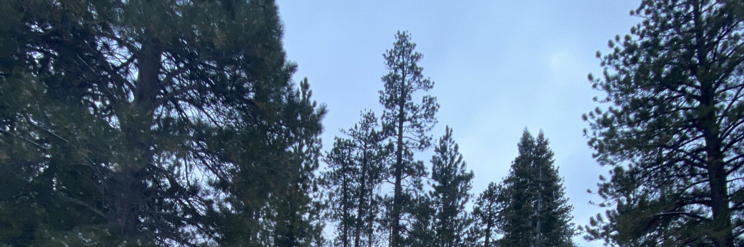 green_is_in's profile banner image