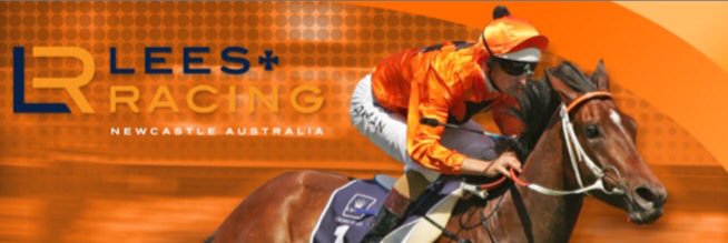 Lees Racing banner