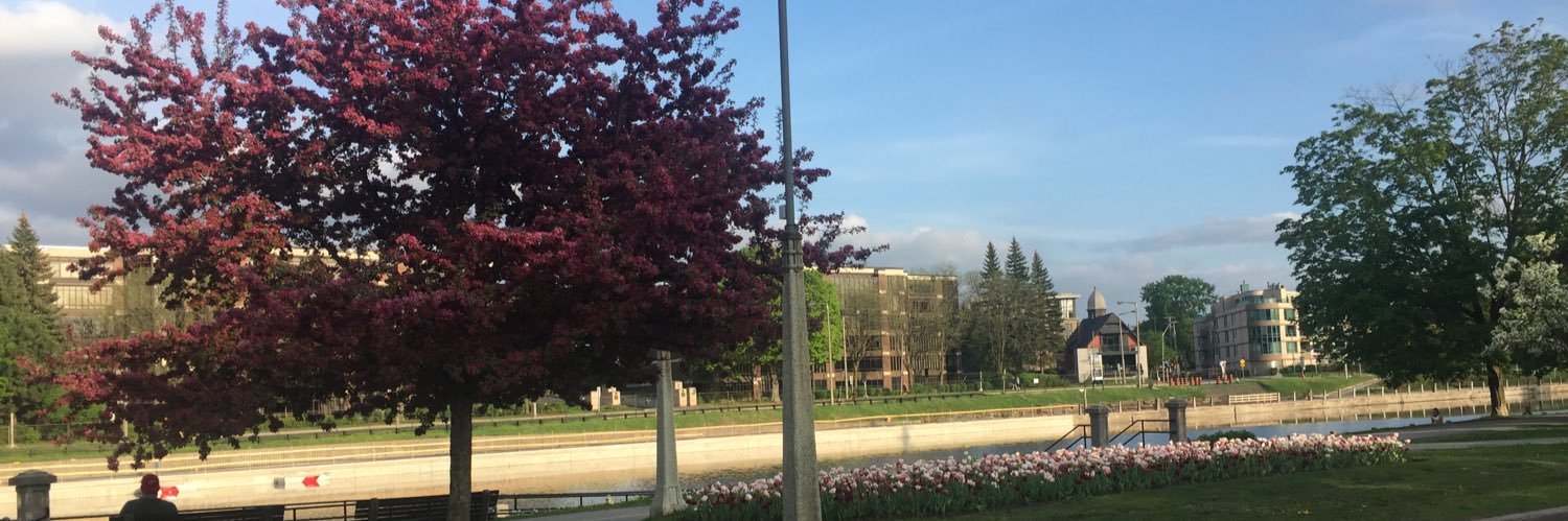 Sheena Bolton banner