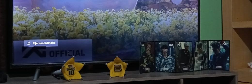 RockmariV's profile banner image