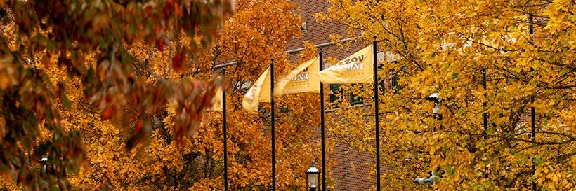 Mizzou Alumni's banner