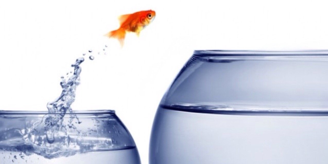 5BFish's profile banner image